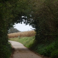 dsc 0536 - Sportraad Zaventem 